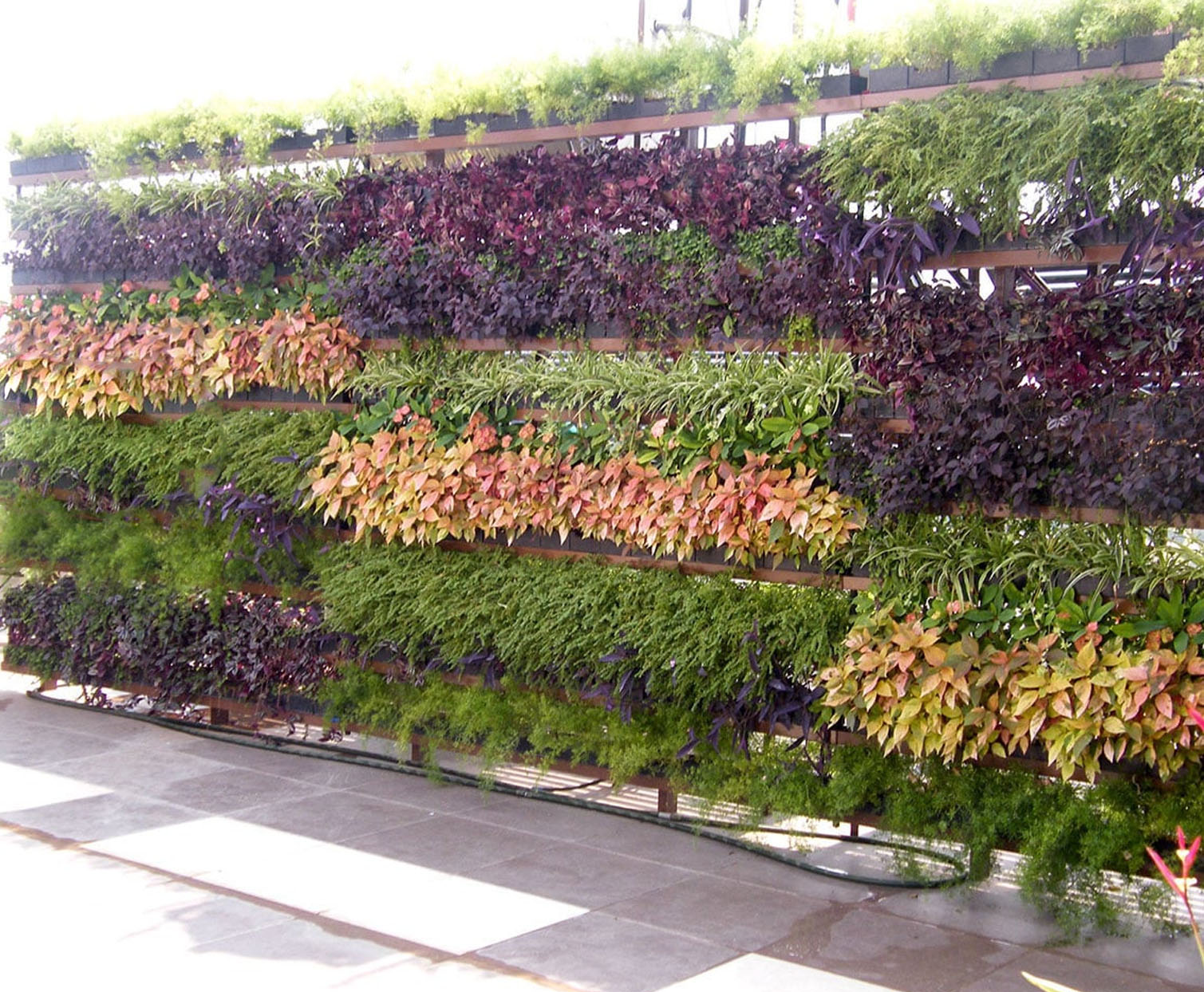 Vertical Garden