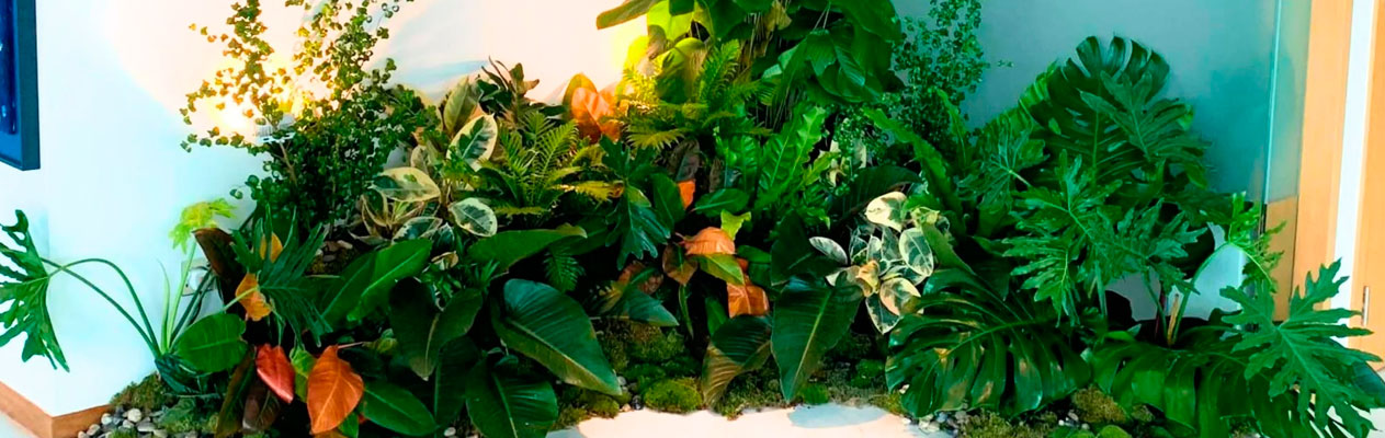 Plant On Rent